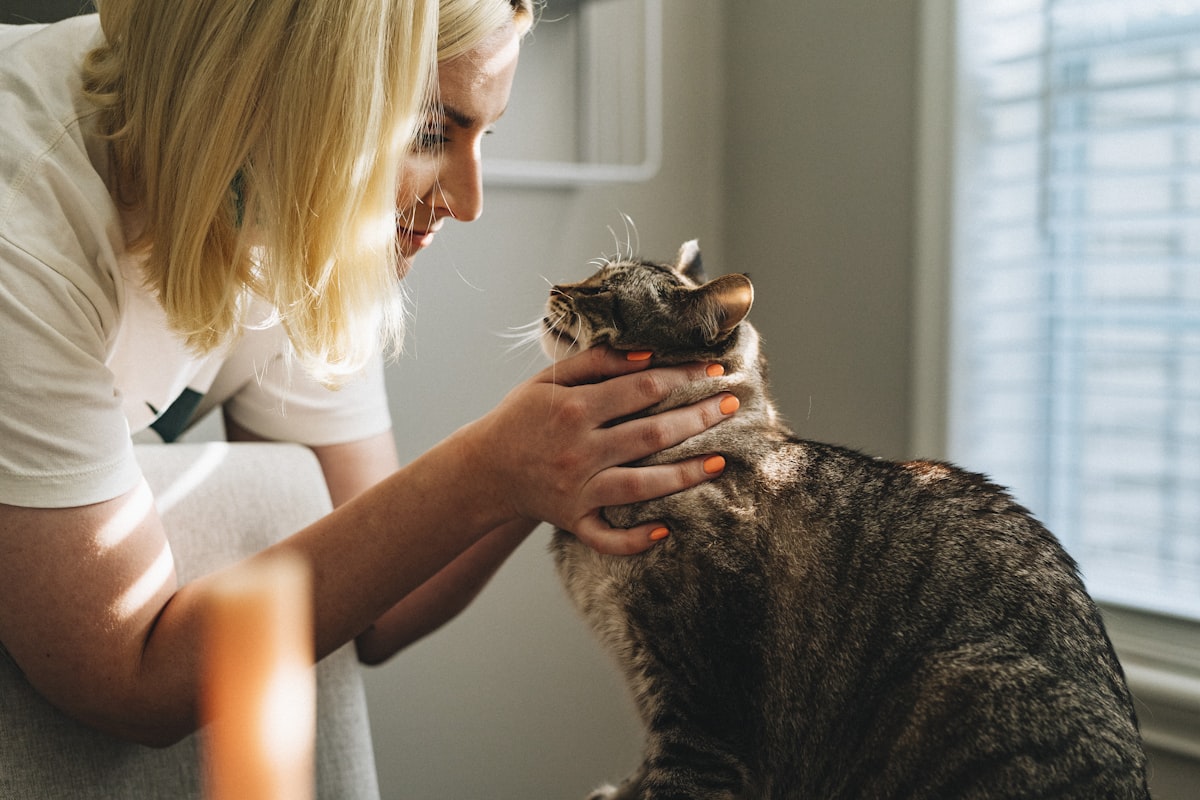 Professional veterinarian examining a happy pet
